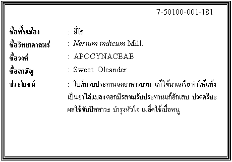 กล่องข้อความ: 7-50100-001-181 ชื่อพื้นเมือง : ยี่โถ ชื่อวิทยาศาสตร์ : Nerium indicum Mill. ชื่อวงศ์ : APOCYNACEAE ชื่อสามัญ : Sweet Oleander ประโยชน์ : ใบต้มรับประทานลดอาหารบวม แก้ไข้มาเลเรีย ทำให้แท้ง เป็นยาไล่แมลง ดอกมีรสขมรับประทานแก้อักเสบ ปวดศรีษะ ผลใช้ขับปัสสาวะ บำรุงหัวใจ เมล็ดใช้เบื่อหนู